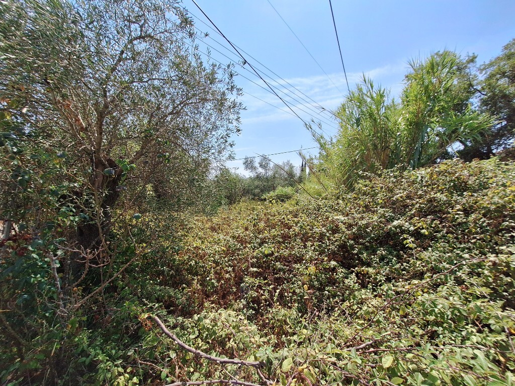 Land in Corfu, Corfu Prefecture, Greece – 60620