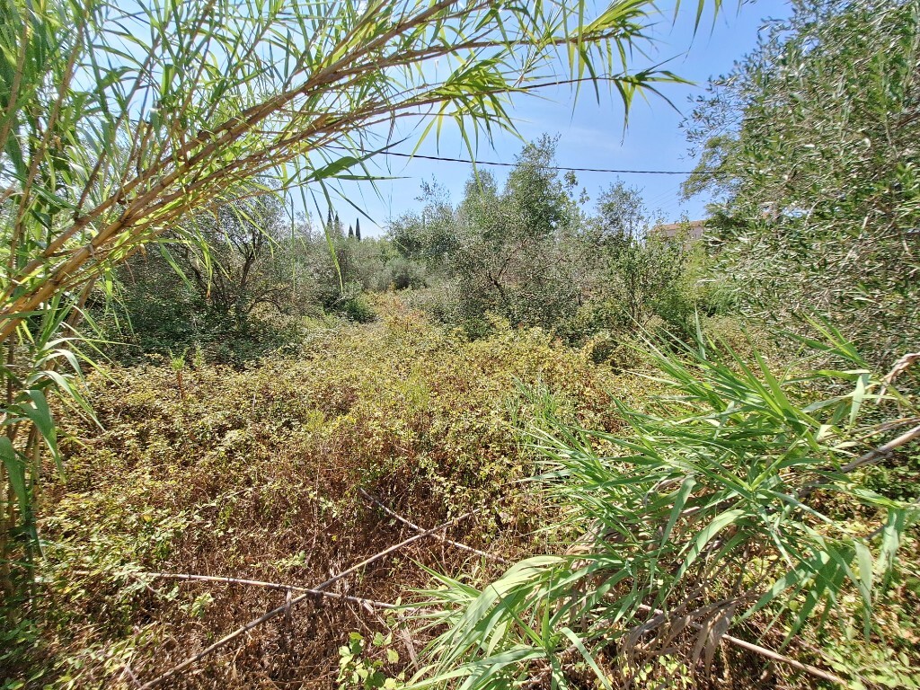 Land in Corfu, Corfu Prefecture, Greece – 60620