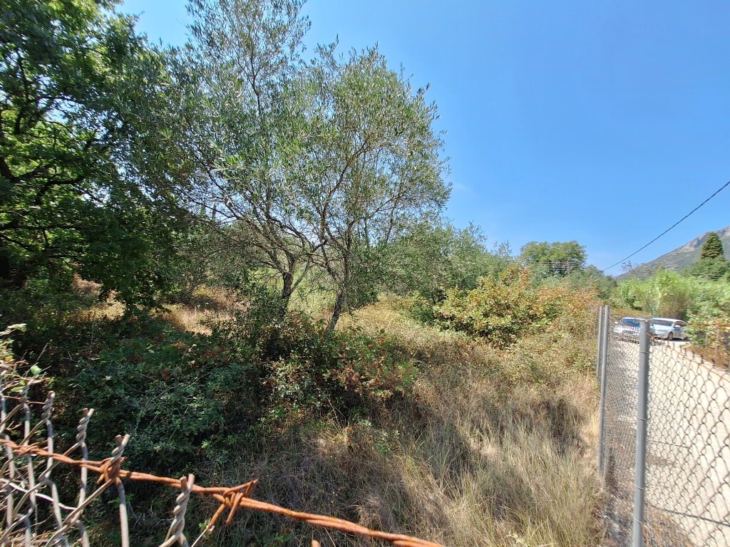 Land in Corfu, Corfu Prefecture, Greece – 60620
