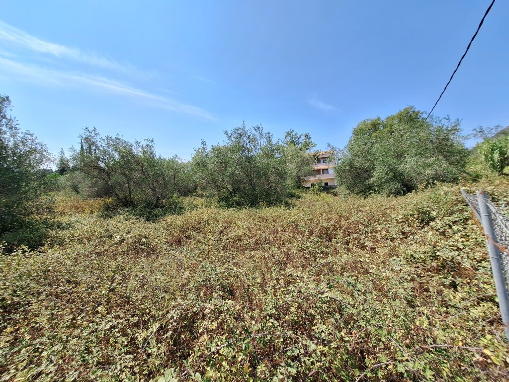 Land in Corfu, Corfu Prefecture, Greece – 60620