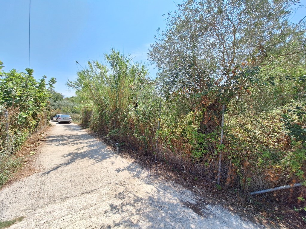 Land in Corfu, Corfu Prefecture, Greece – 60620