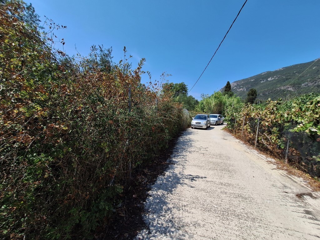 Land in Corfu, Corfu Prefecture, Greece – 60620