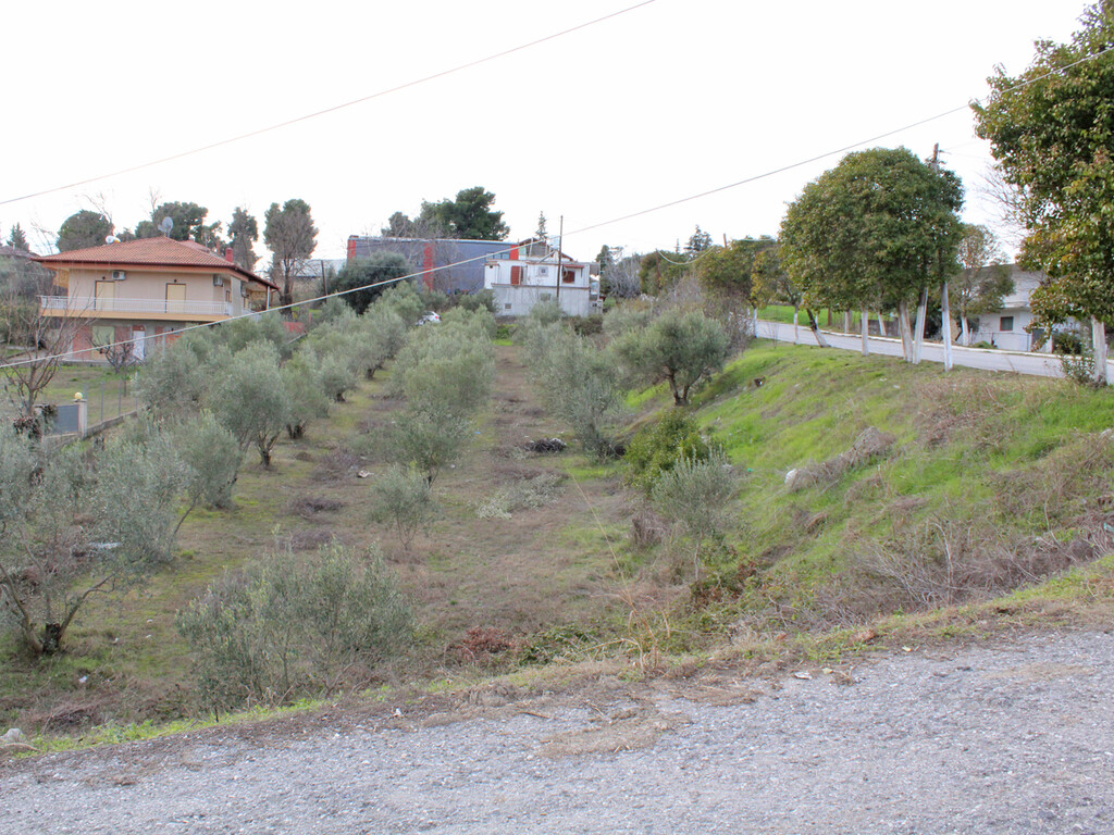 Land in Pidna, Pieria Prefecture, Greece – 60605