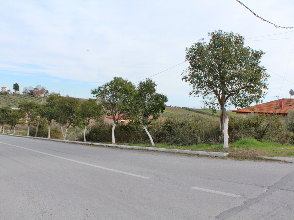 Land in Pidna, Pieria Prefecture, Greece – 60605