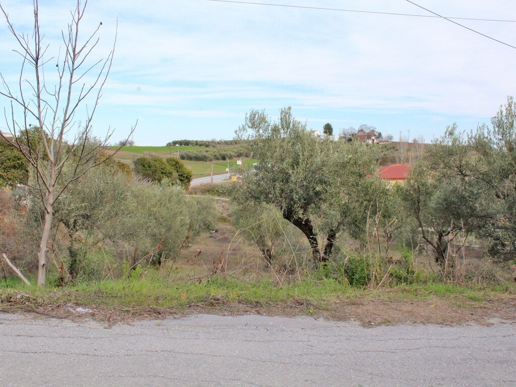 Land in Pidna, Pieria Prefecture, Greece – 60605