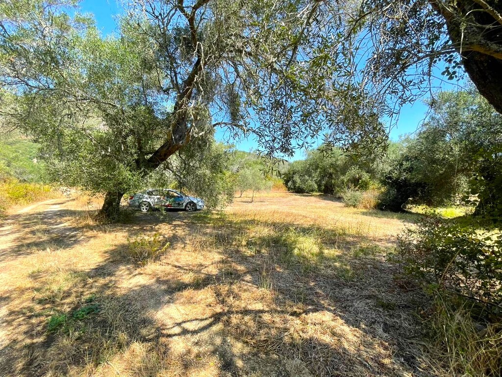 Land in Corfu, Corfu Prefecture, Greece – 60604