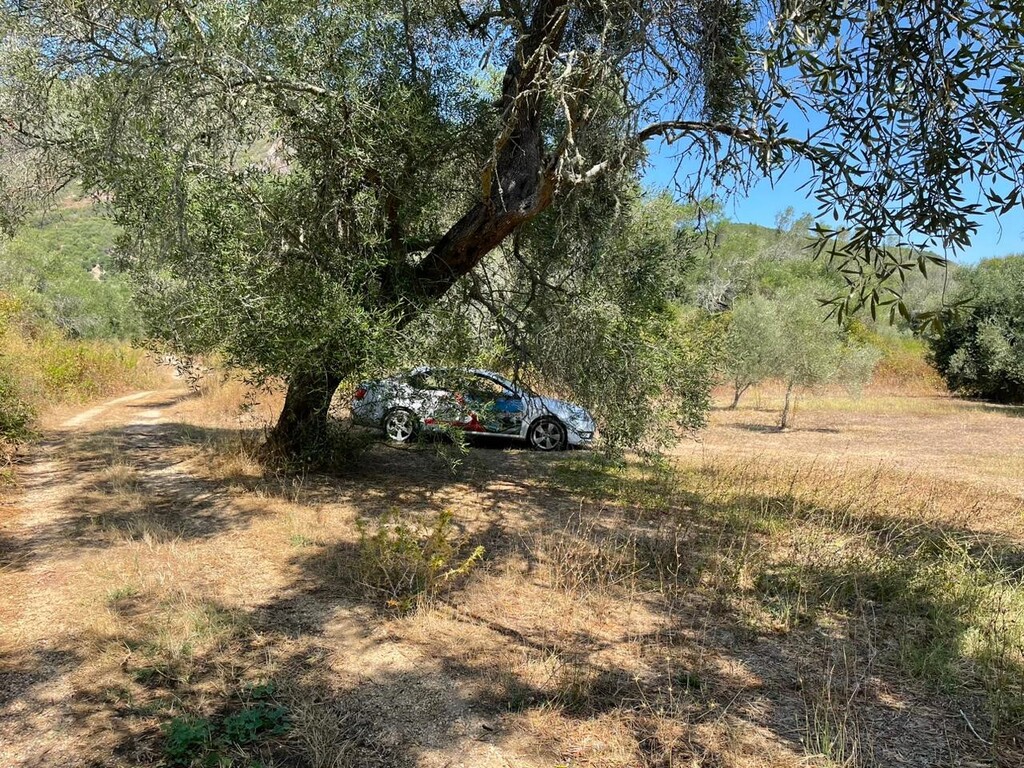 Land in Corfu, Corfu Prefecture, Greece – 60604