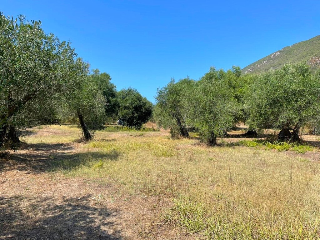 Land in Corfu, Corfu Prefecture, Greece – 60604