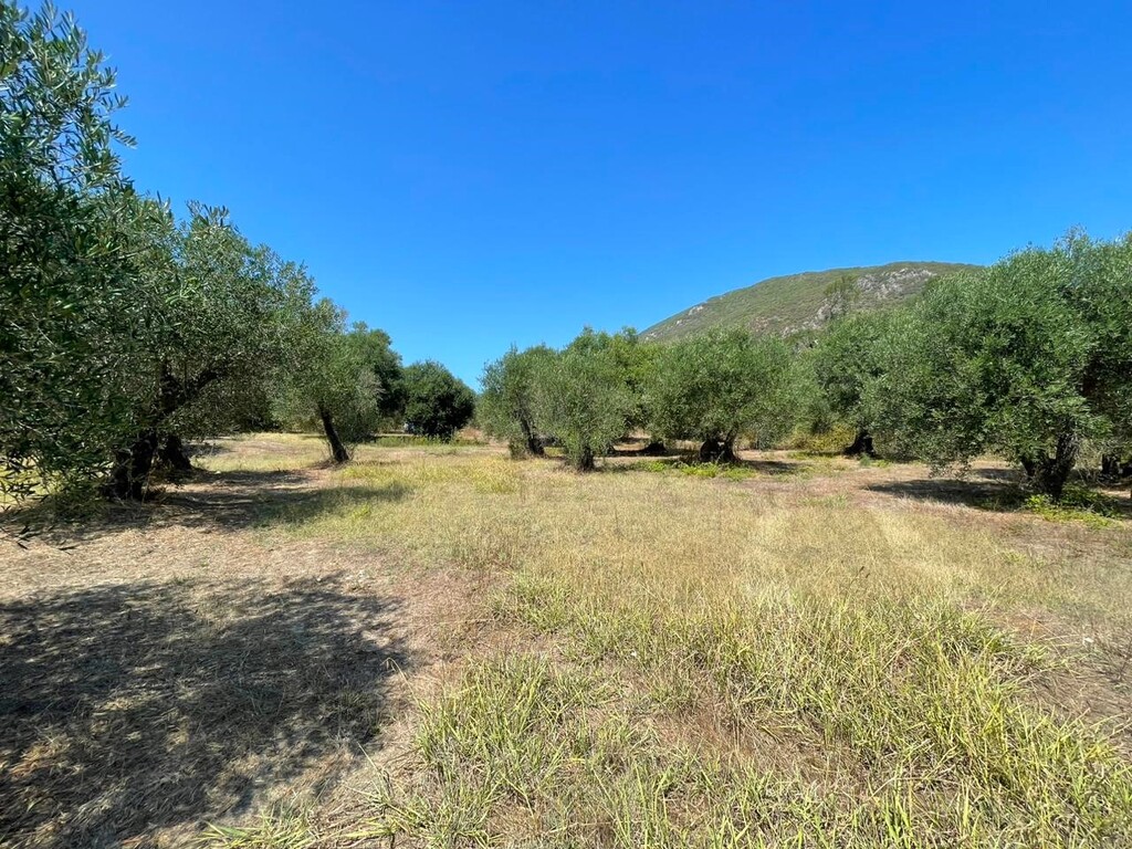 Land in Corfu, Corfu Prefecture, Greece – 60604