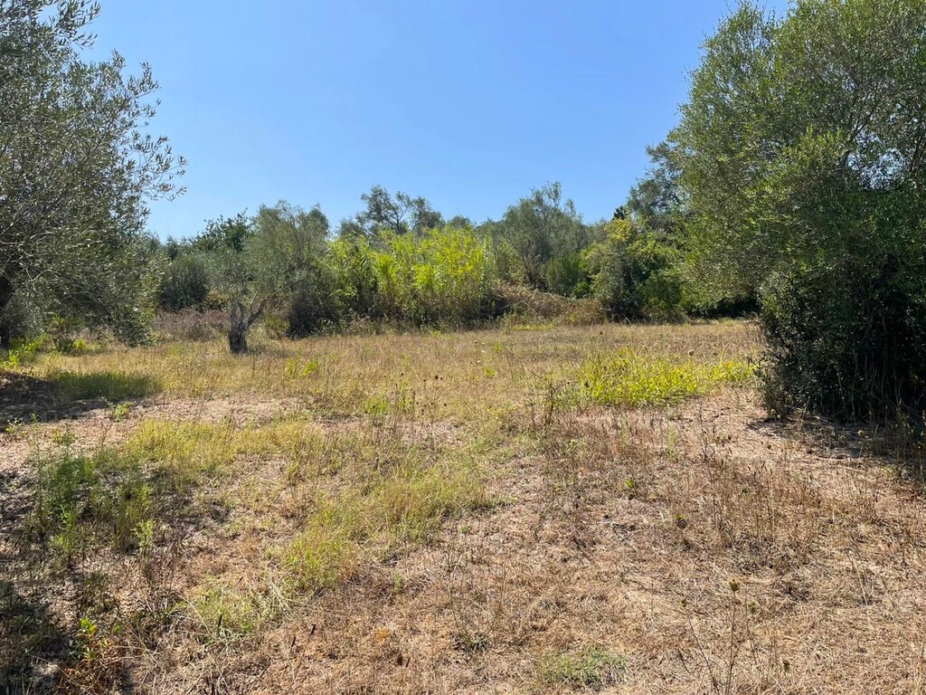 Land in Corfu, Corfu Prefecture, Greece – 60604