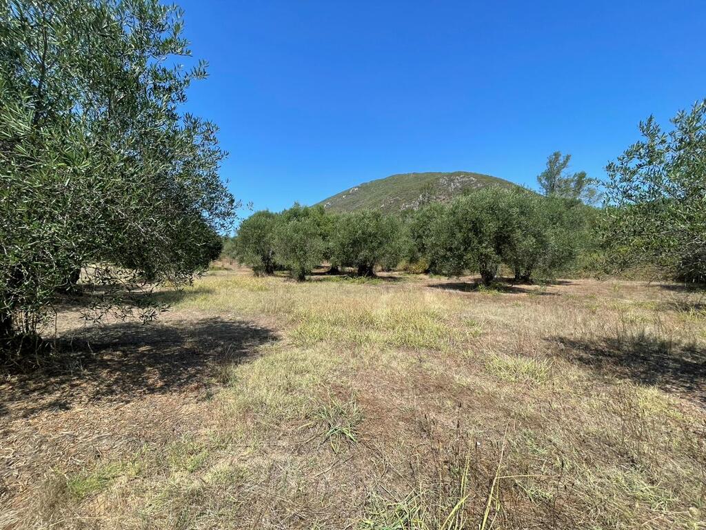 Land in Corfu, Corfu Prefecture, Greece – 60604