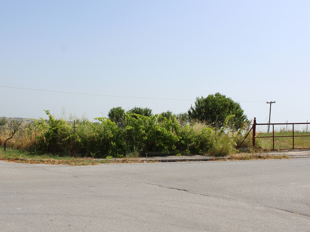 Land in Pidna, Pieria Prefecture, Greece – 60581