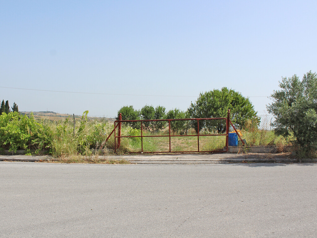 Land in Pidna, Pieria Prefecture, Greece – 60581
