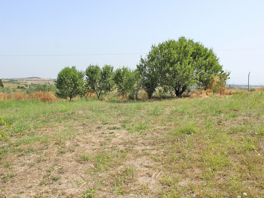 Land in Pidna, Pieria Prefecture, Greece – 60581