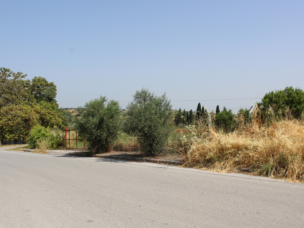 Land in Pidna, Pieria Prefecture, Greece – 60581