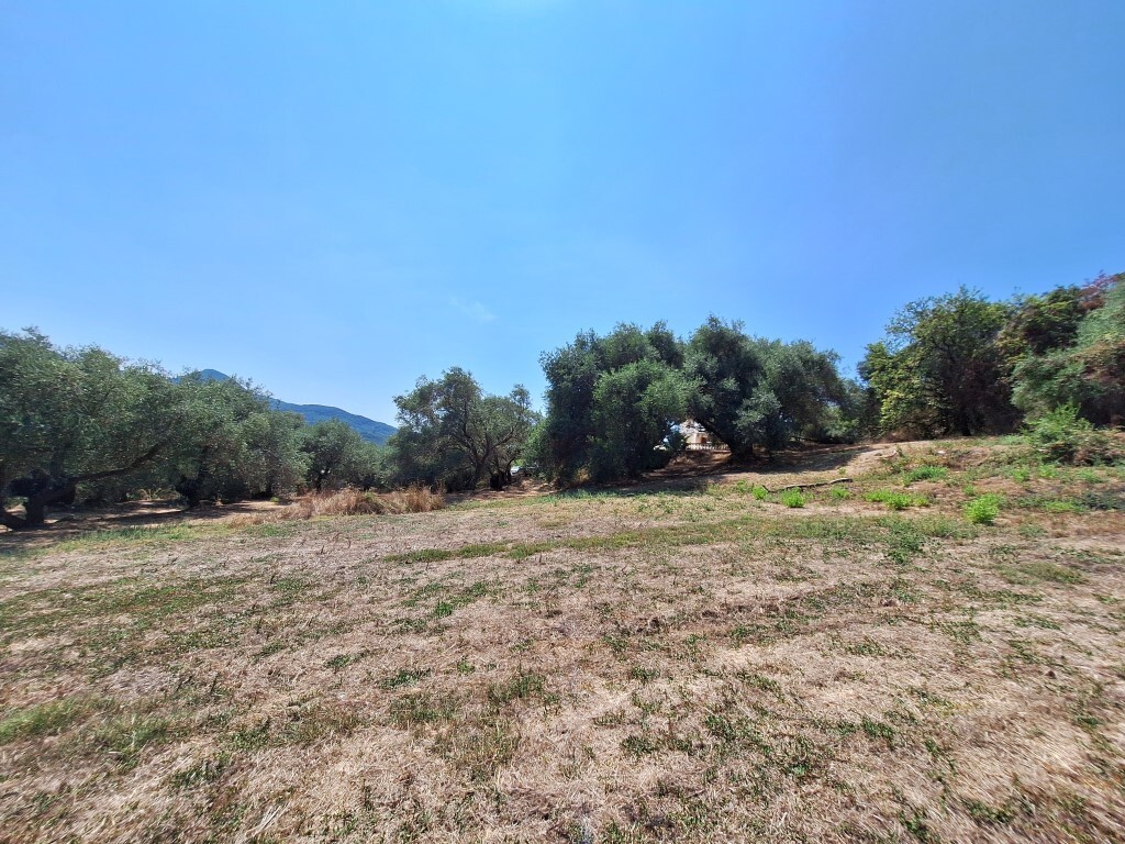 Land in Corfu, Corfu Prefecture, Greece – 60580