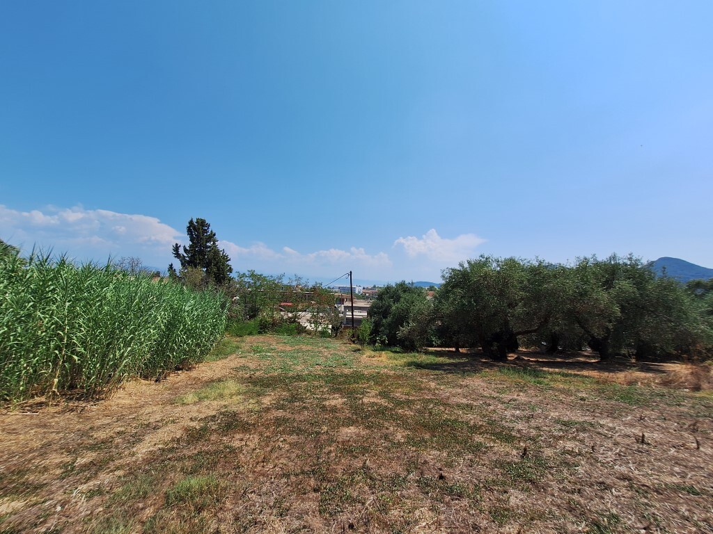 Land in Corfu, Corfu Prefecture, Greece – 60580