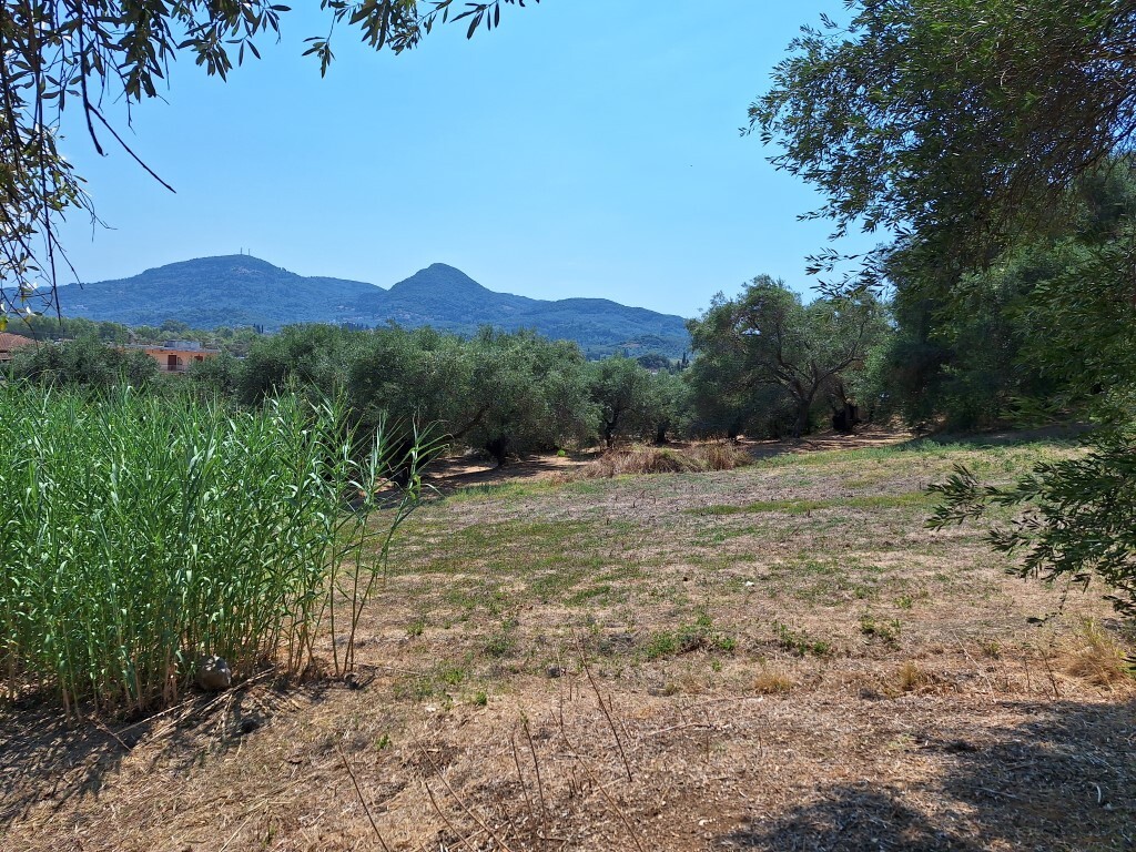 Land in Corfu, Corfu Prefecture, Greece – 60580