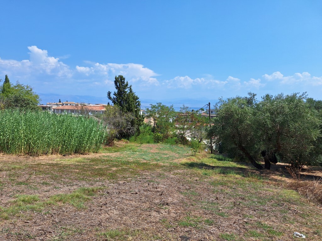 Land in Corfu, Corfu Prefecture, Greece – 60580