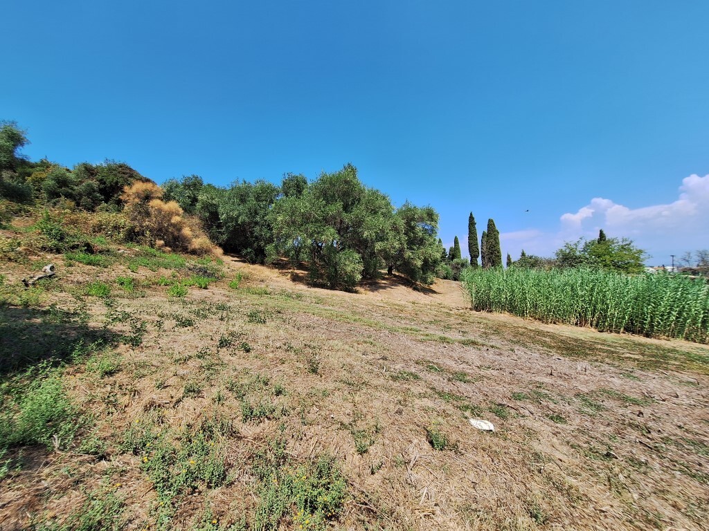Land in Corfu, Corfu Prefecture, Greece – 60580