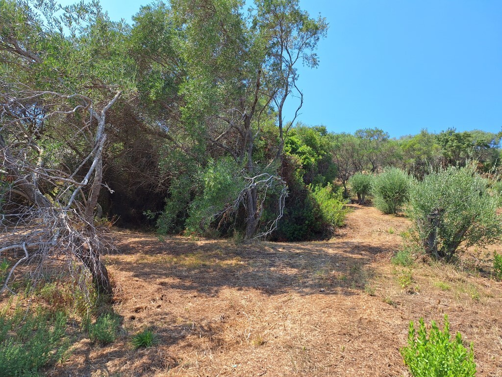 Land in Corfu, Corfu Prefecture, Greece – 60580