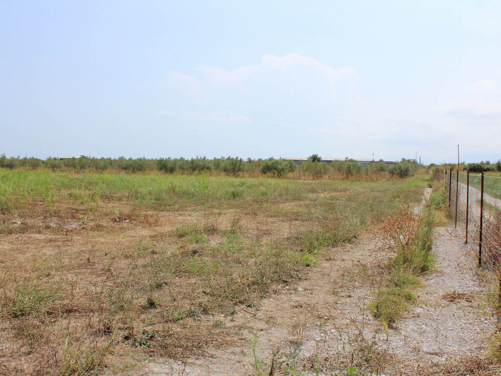 Land in Paralia, Pieria Prefecture, Greece – 60563