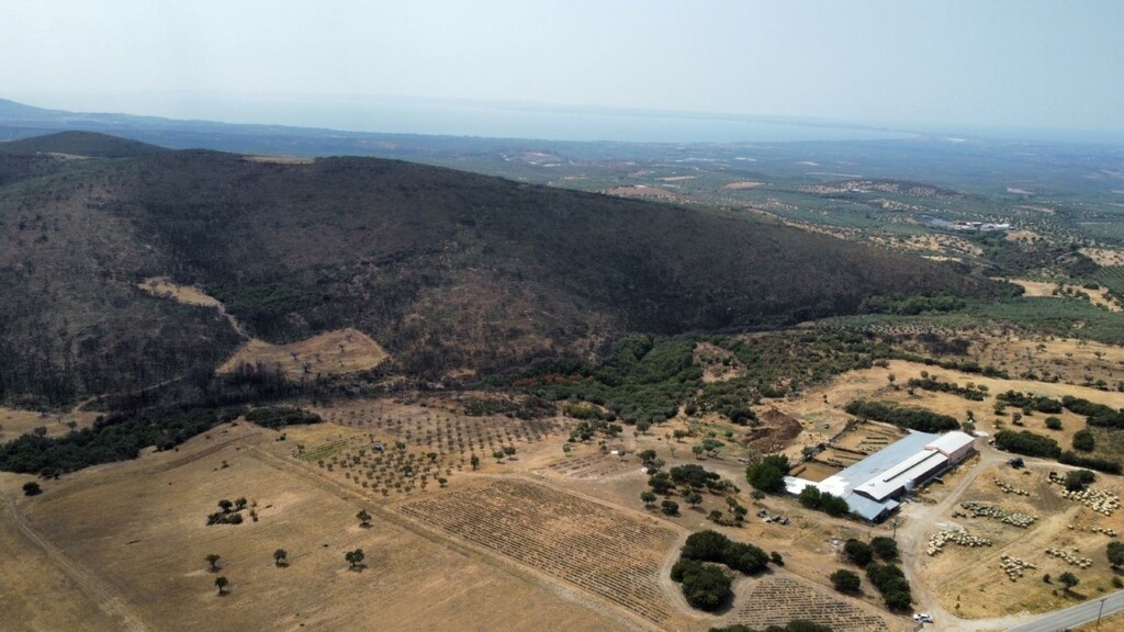 Land in Poligiros, Chalkidiki, Greece – 60542