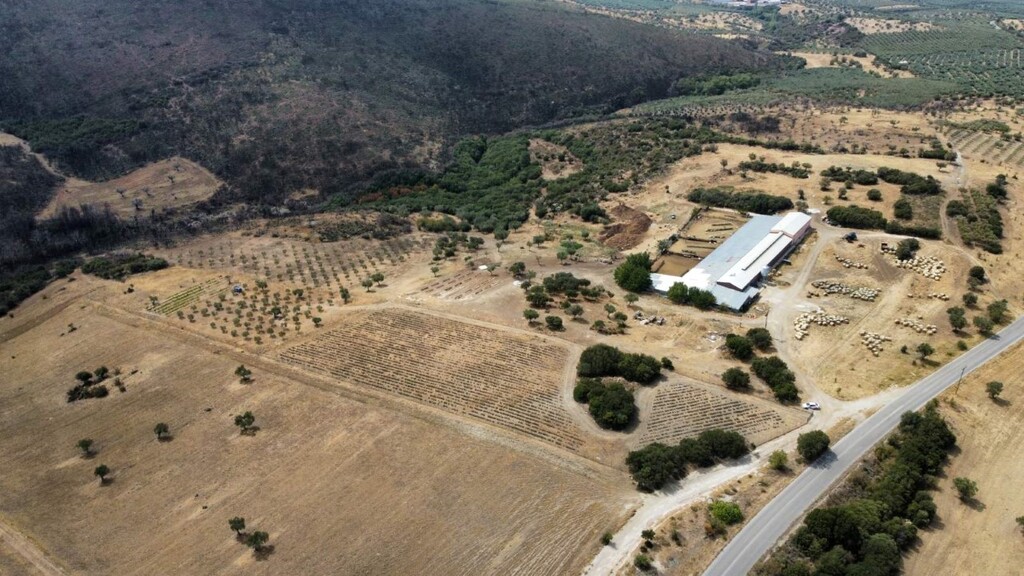 Land in Poligiros, Chalkidiki, Greece – 60542