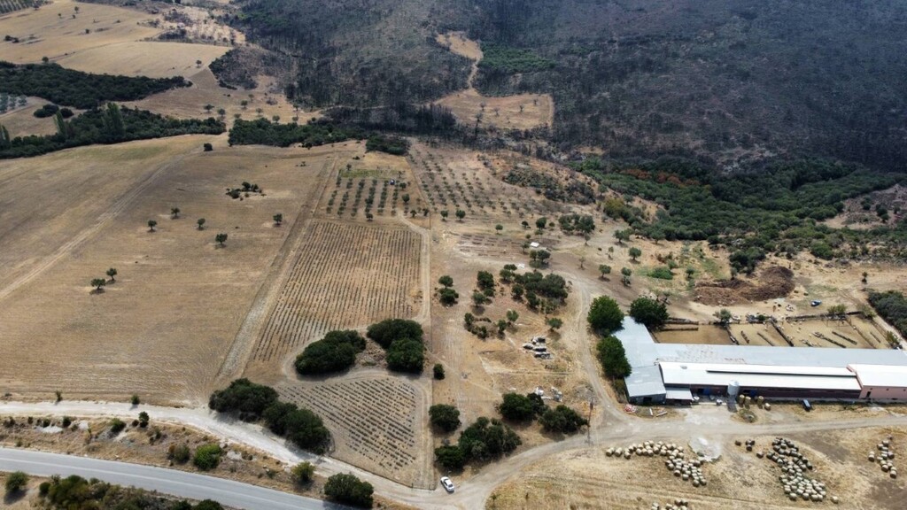 Land in Poligiros, Chalkidiki, Greece – 60542