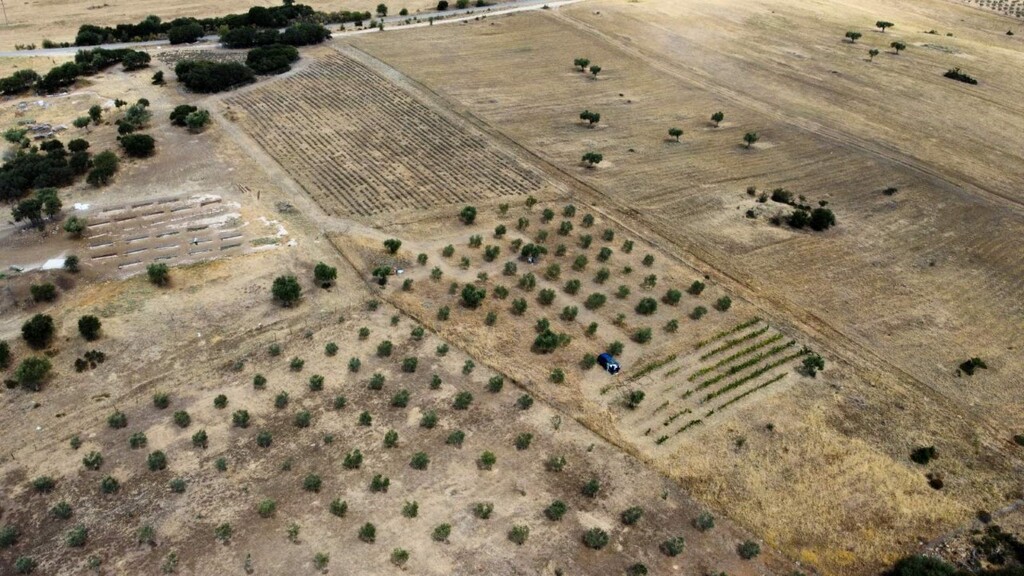 Land in Poligiros, Chalkidiki, Greece – 60542