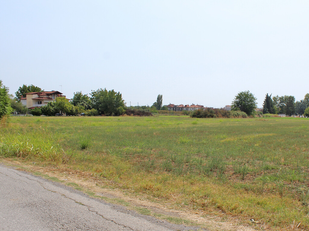 Land in Katerini, Pieria Prefecture, Greece – 60522