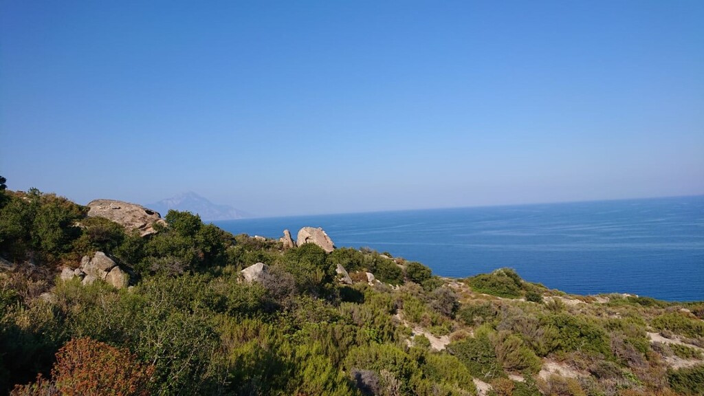 Land in Sithonia, Chalkidiki, Greece – 60519