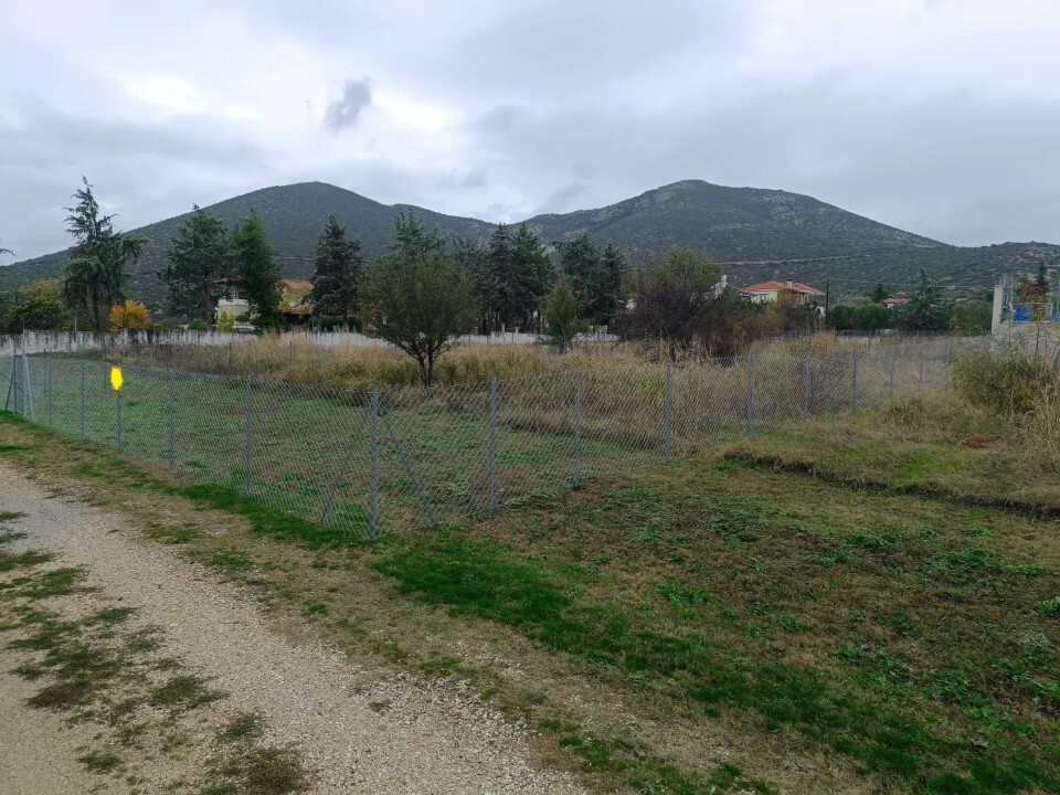 Land in Poligiros, Chalkidiki, Greece – 60490