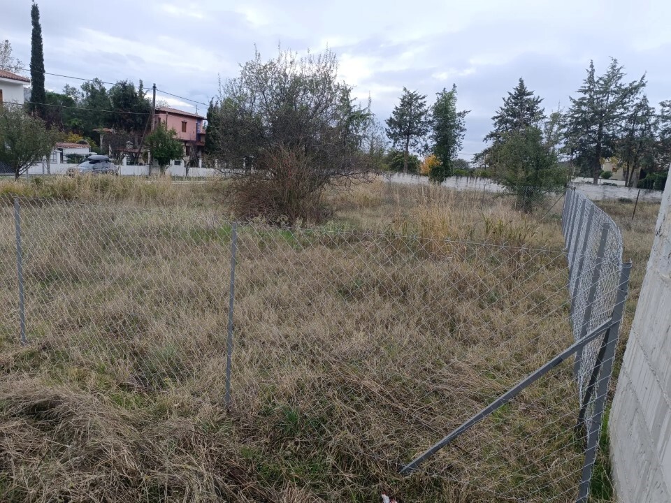 Land in Poligiros, Chalkidiki, Greece – 60490