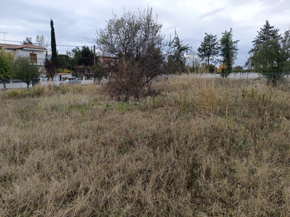 Land in Poligiros, Chalkidiki, Greece – 60490