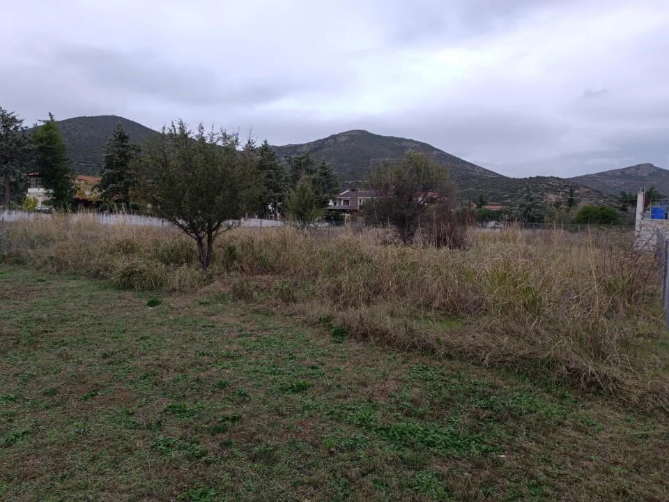 Land in Poligiros, Chalkidiki, Greece – 60490