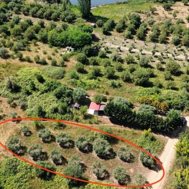Land in Sithonia, Chalkidiki, Greece – 60482