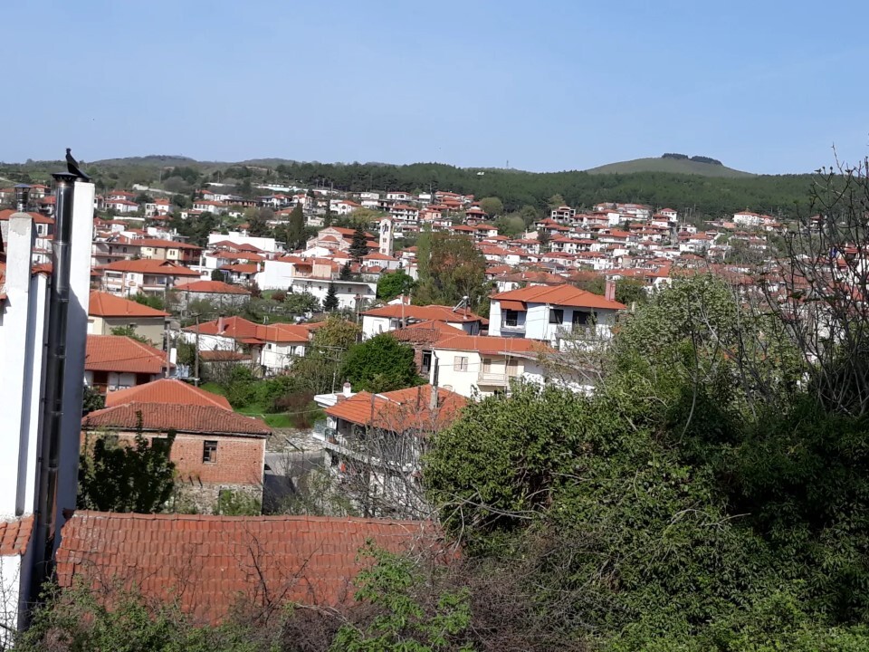 Land in Aristotle, Chalkidiki, Greece – 60475