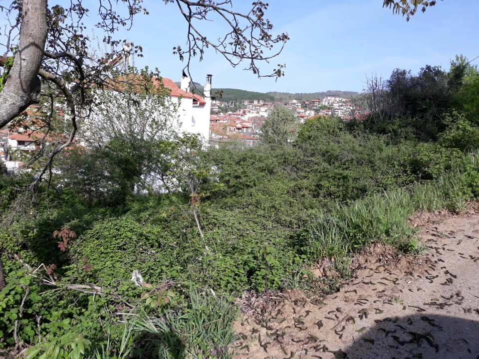 Land in Aristotle, Chalkidiki, Greece – 60475