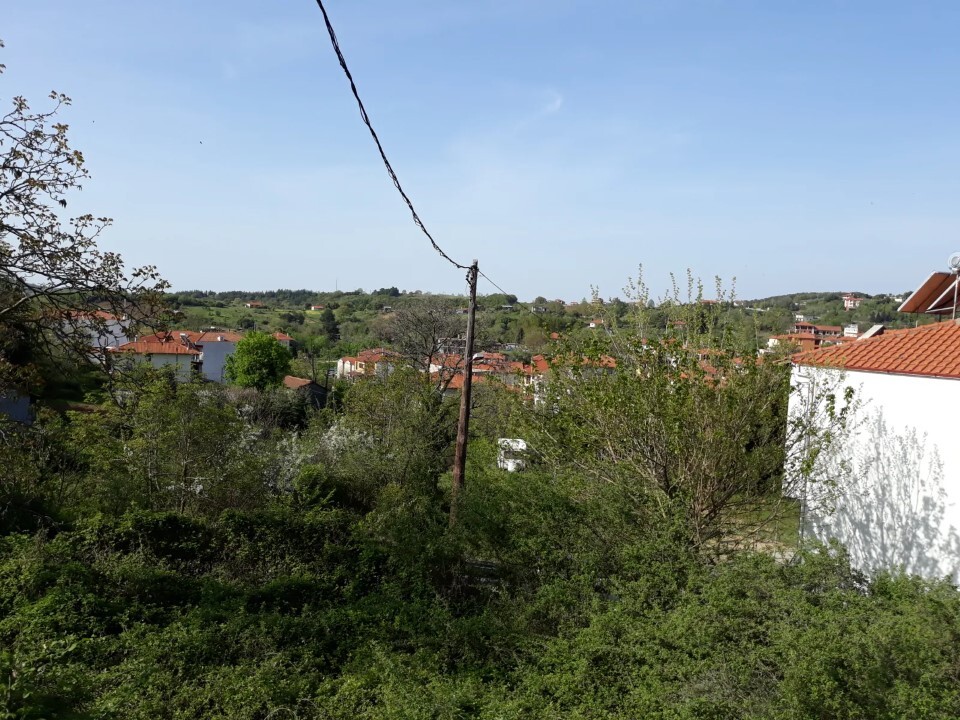 Land in Aristotle, Chalkidiki, Greece – 60475