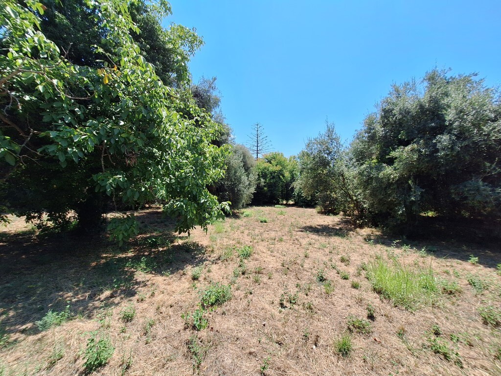 Land in Corfu, Corfu Prefecture, Greece – 60458