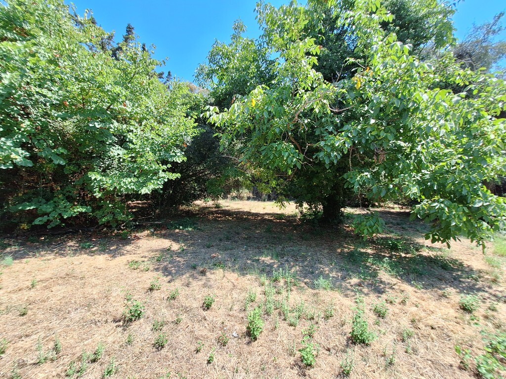 Land in Corfu, Corfu Prefecture, Greece – 60458