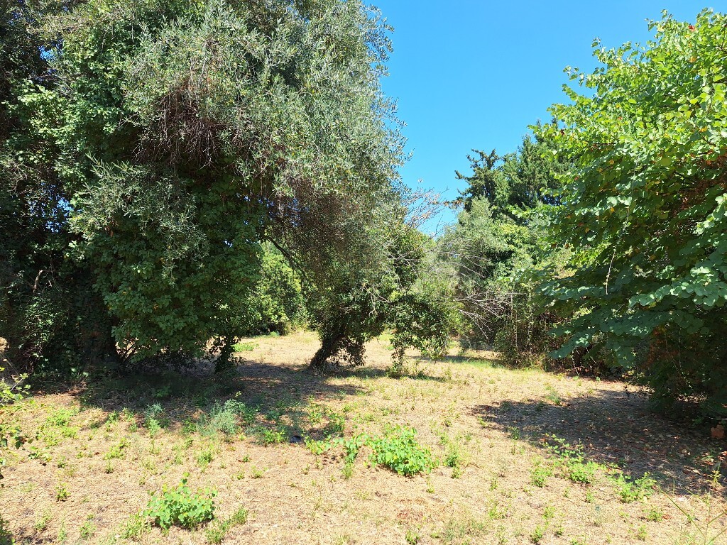 Land in Corfu, Corfu Prefecture, Greece – 60458
