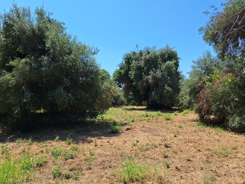 Land in Corfu, Corfu Prefecture, Greece – 60458