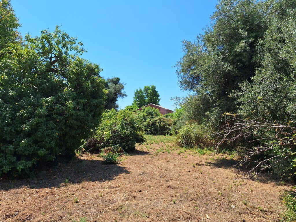 Land in Corfu, Corfu Prefecture, Greece – 60458