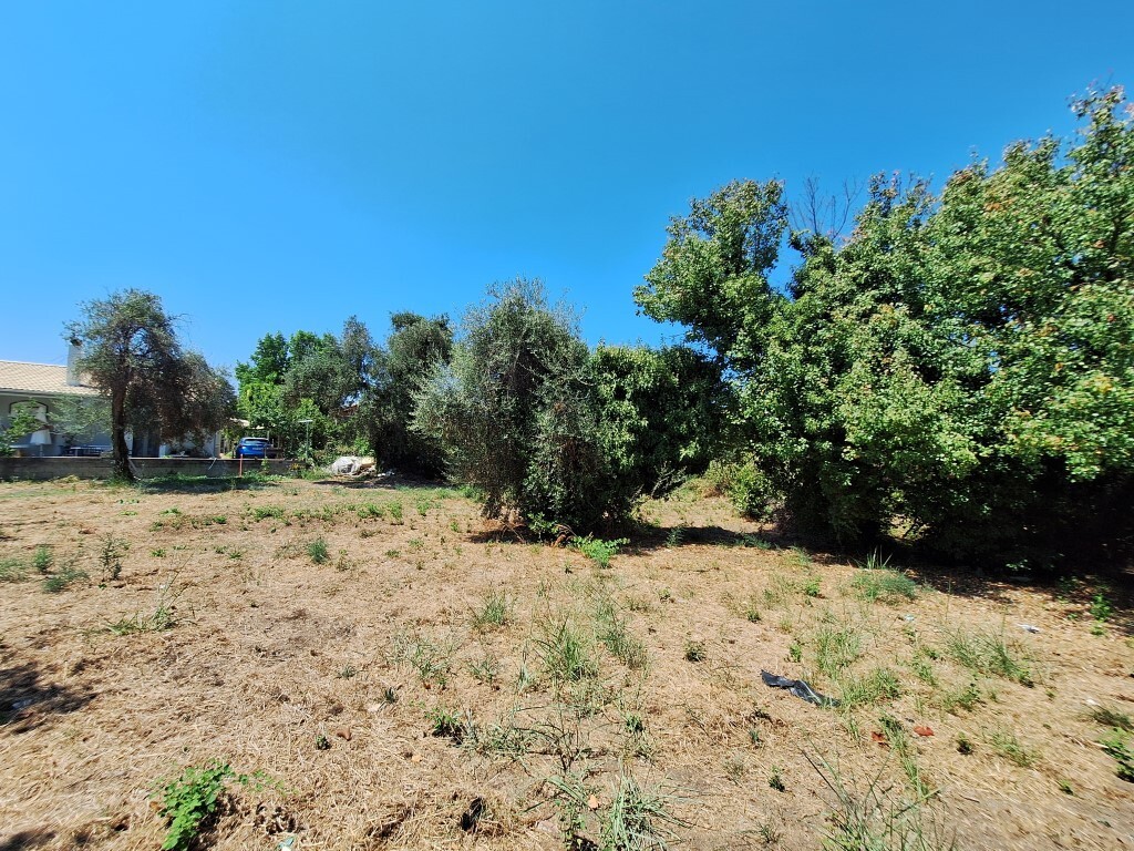 Land in Corfu, Corfu Prefecture, Greece – 60458