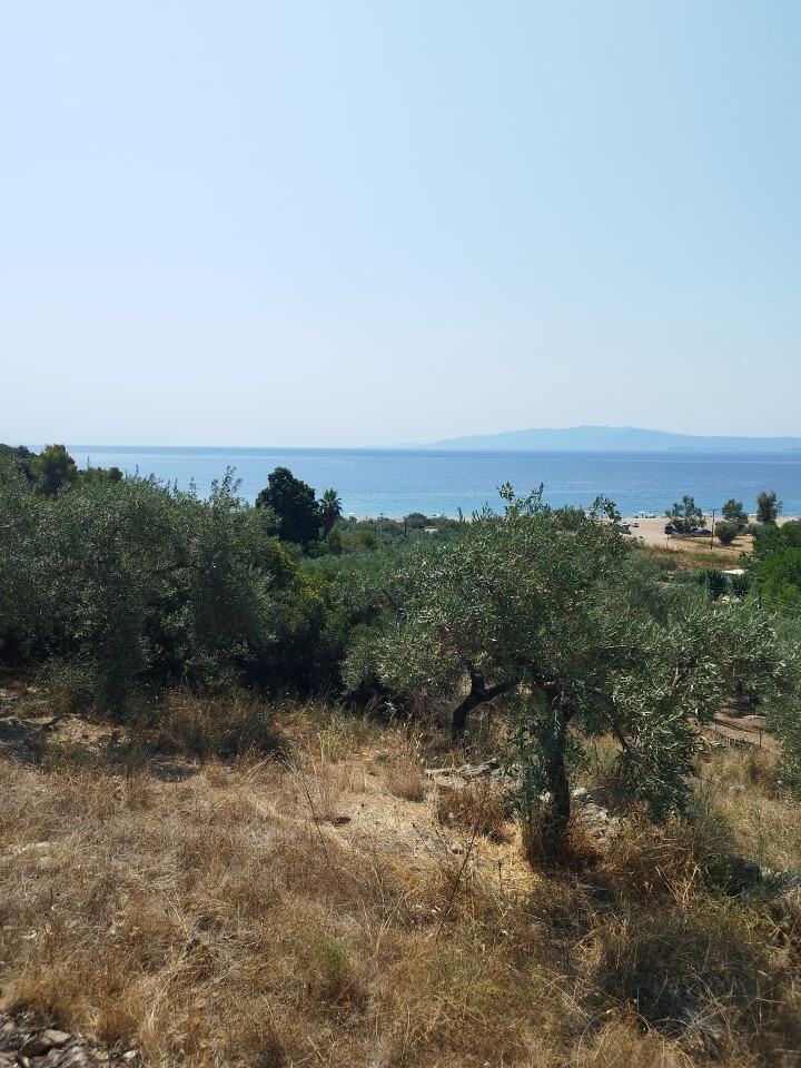 Land in Aristotle, Chalkidiki, Greece – 60437
