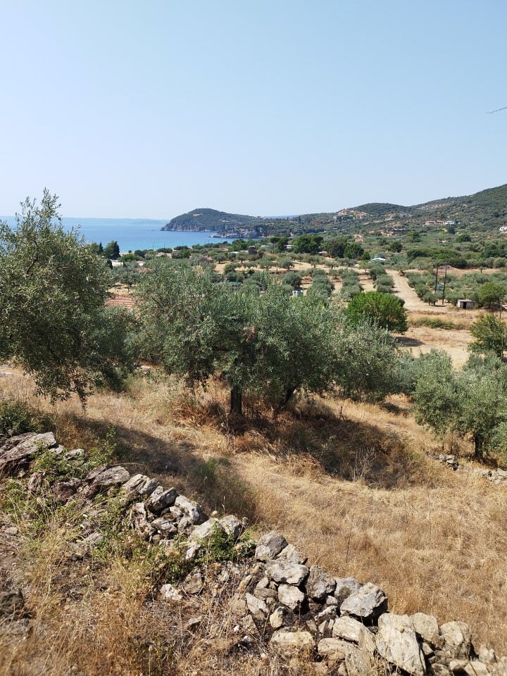 Land in Aristotle, Chalkidiki, Greece – 60437