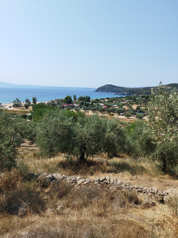 Land in Aristotle, Chalkidiki, Greece – 60437