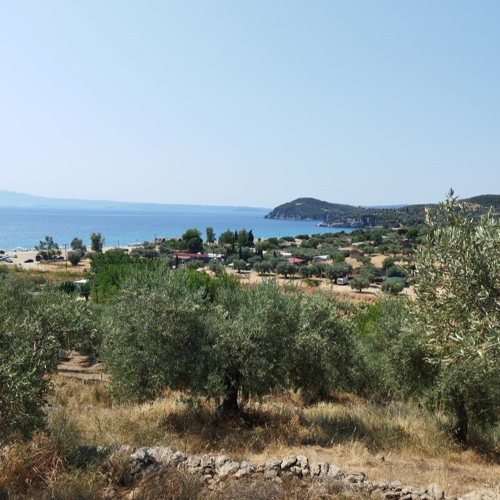 Land in Aristotle, Chalkidiki, Greece – 60437